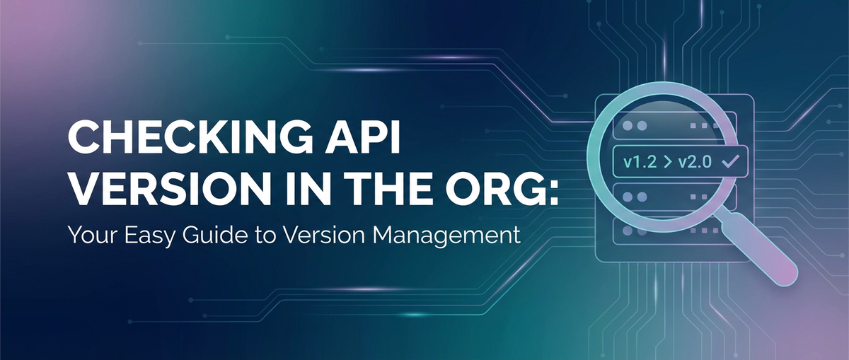 Checking API Version in the Org: Your Easy Guide