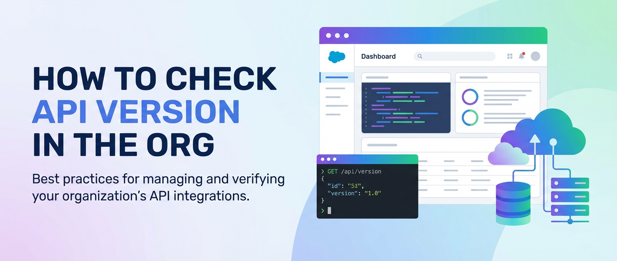 How to Check API Version in the Org