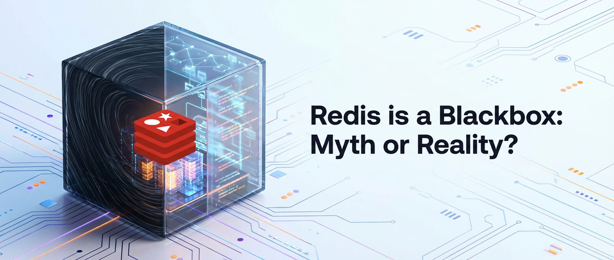 Redis is a Blackbox: Myth or Reality?