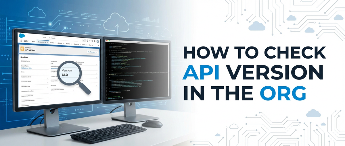 How to Check API Version in the Org