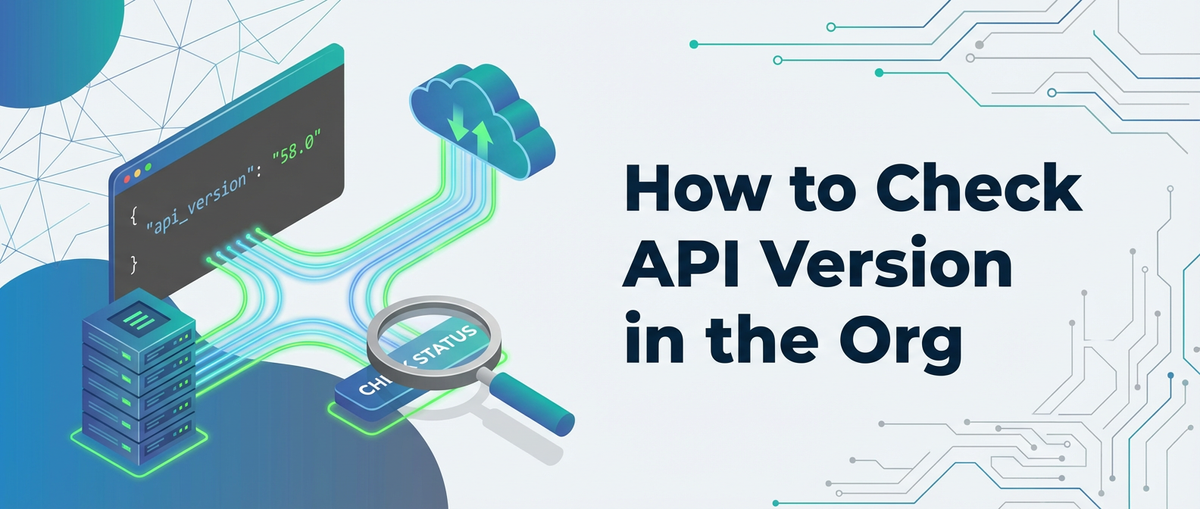How to Check API Version in the Org