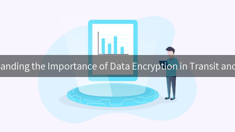 Understanding the Importance of Data Encryption in Transit and at Rest