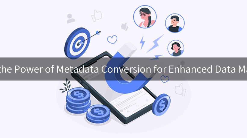 Unlocking the Power of Metadata Conversion for Enhanced Data Management