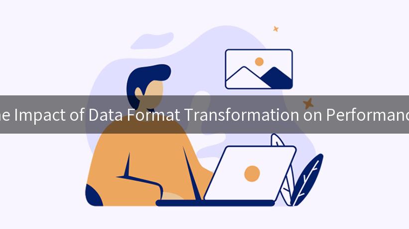 Exploring the Impact of Data Format Transformation on Performance Efficiency