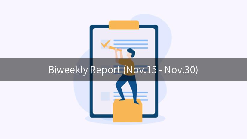 Biweekly Report (Nov.15 - Nov.30)