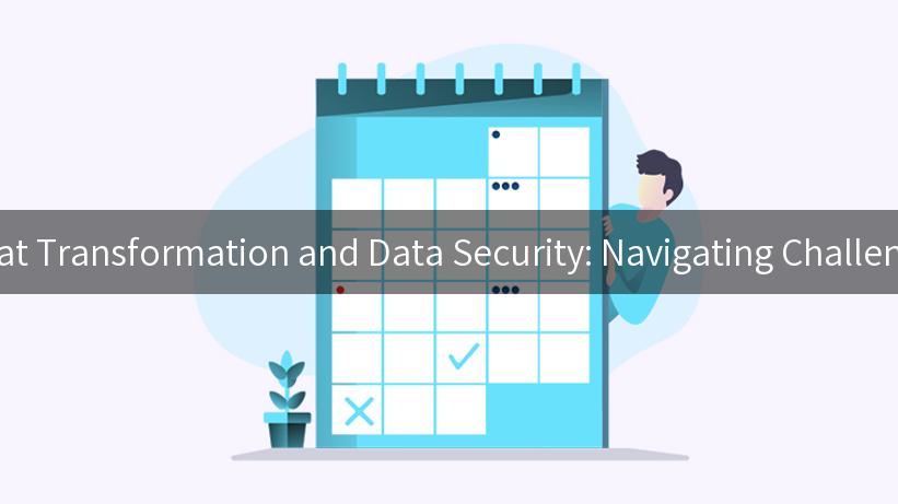 Data Format Transformation and Data Security: Navigating Challenges Ahead