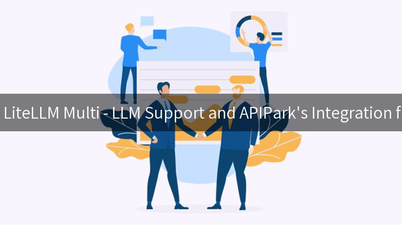 Exploring the Power of LiteLLM Multi - LLM Support and APIPark's Integration for Business Innovation