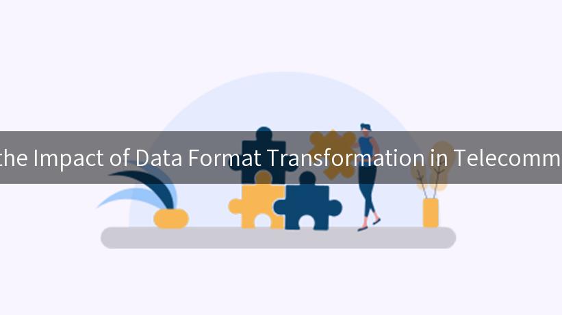 Exploring the Impact of Data Format Transformation in Telecommunications