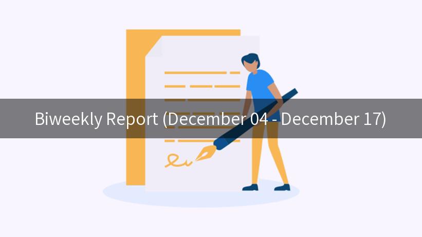 Biweekly Report (December 04 - December 17)