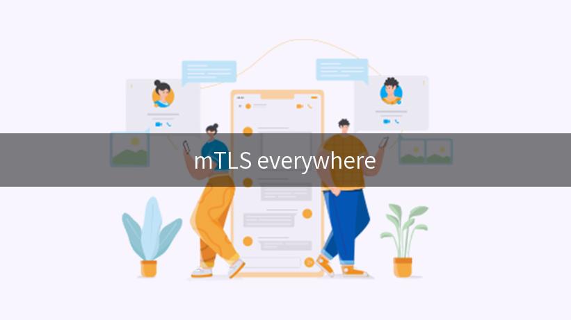 mTLS everywhere