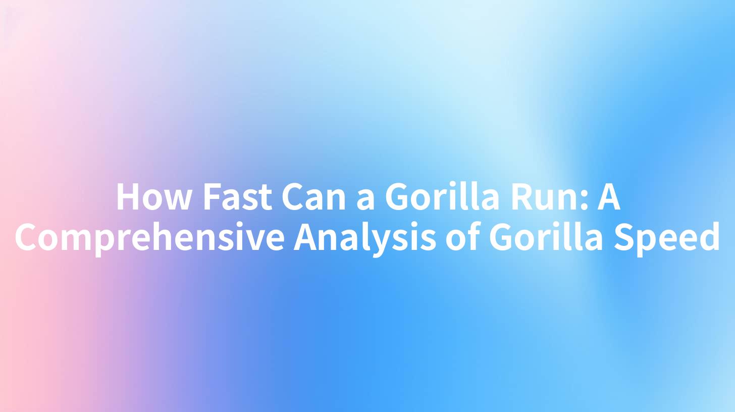 API安全,IBM API Connect,gateway,Data Format Transformation